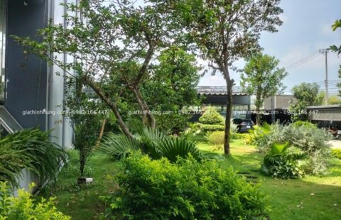 GTH Garden – Showroom Tiến Thu Vĩnh Điện – Quảng Nam (3)