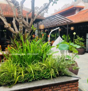 Gia Thinh Hung-Nhà hàng 다낭기와집 GIWAZIP 27 Nguyễn Chí Thanh, Đà Nẵng