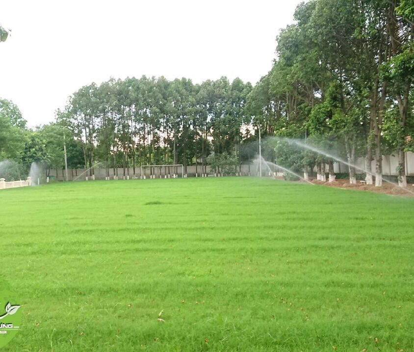 Sân cỏ tự nhiên – Đại Chủng Viện, thành phố Huế