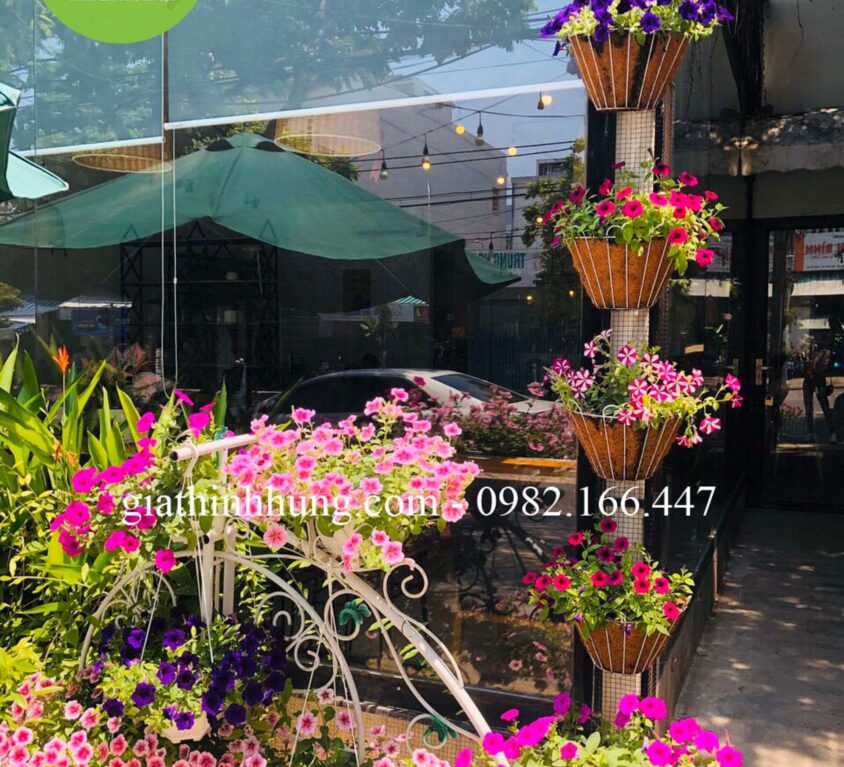 Cây xanh cảnh quan quán cafe Lủng – TP Đà Nẵng