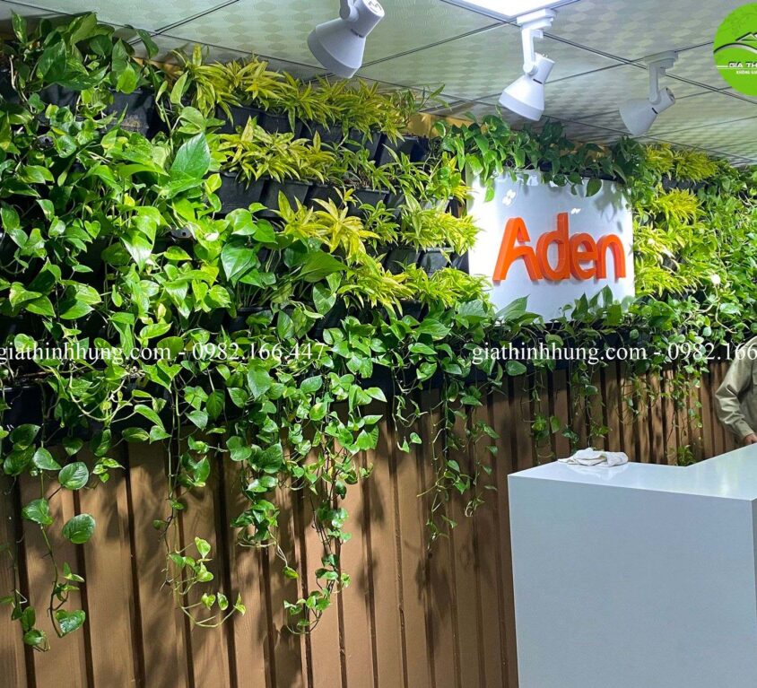 Công ty Aden – Tòa nhà Thành Lợi – TP Đà Nẵng