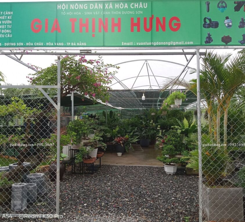Cửa hàng trưng bày và bán lẻ cây xanh, vật tư sân vườn đường 605, xã Hòa Tiến, Đà Nẵng