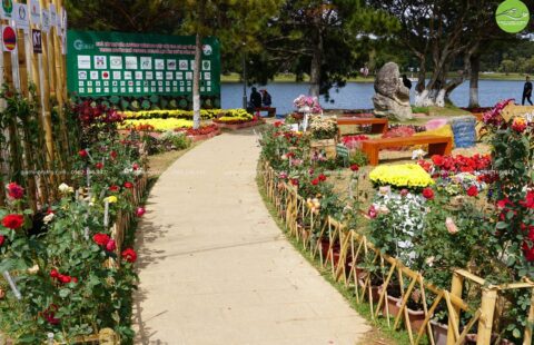 Gia Thịnh Hưng – Festival hoa Đà Lạt 2022 – 56