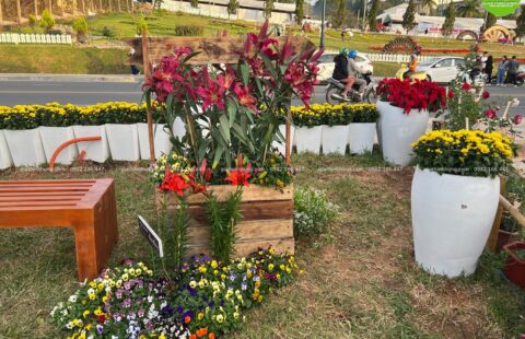 Gia Thịnh Hưng – Festval hoa Đà Lạt 2022 – 17