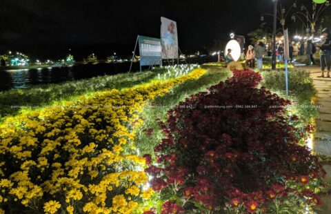 Gia Thịnh Hưng – Festval hoa Đà Lạt 2022 – 18