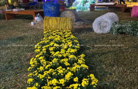 Gia Thịnh Hưng – Festval hoa Đà Lạt 2022 – 26