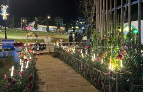 Gia Thịnh Hưng – Festval hoa Đà Lạt 2022 – 4