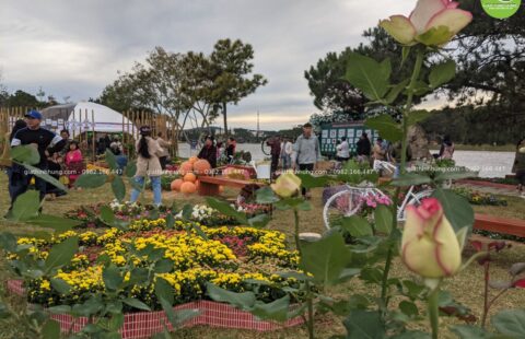 Gia Thịnh Hưng – Festval hoa Đà Lạt 2022 – 52